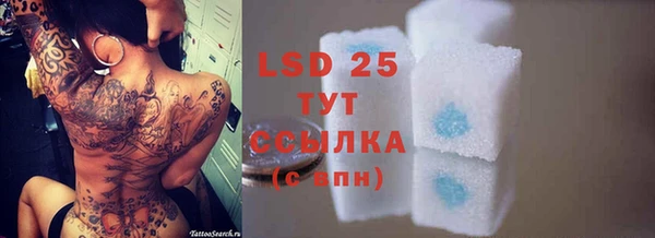 индика Пролетарск
